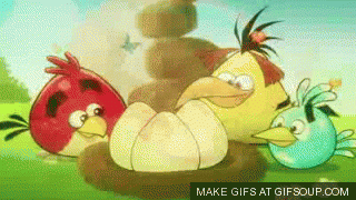 Angry Birds 5